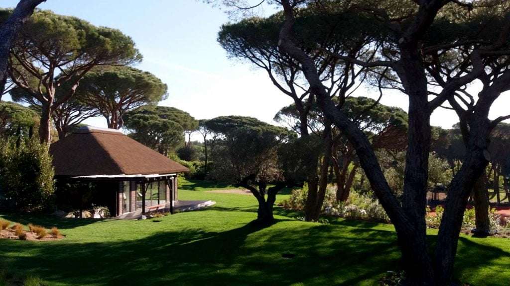 Thatched gymnasium cabin with timber cladding, decking and pergola
