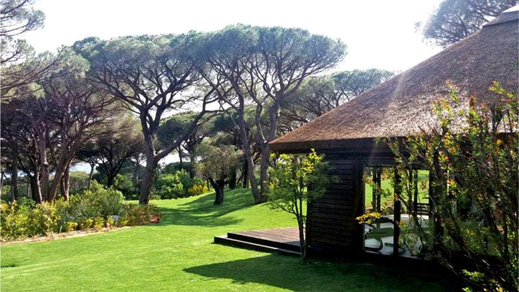 Thatched gymnasium cabin with timber cladding decking in St Tropez