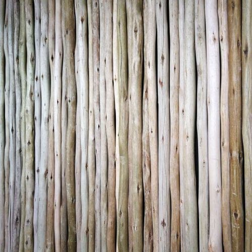 Eucalyptus Lath