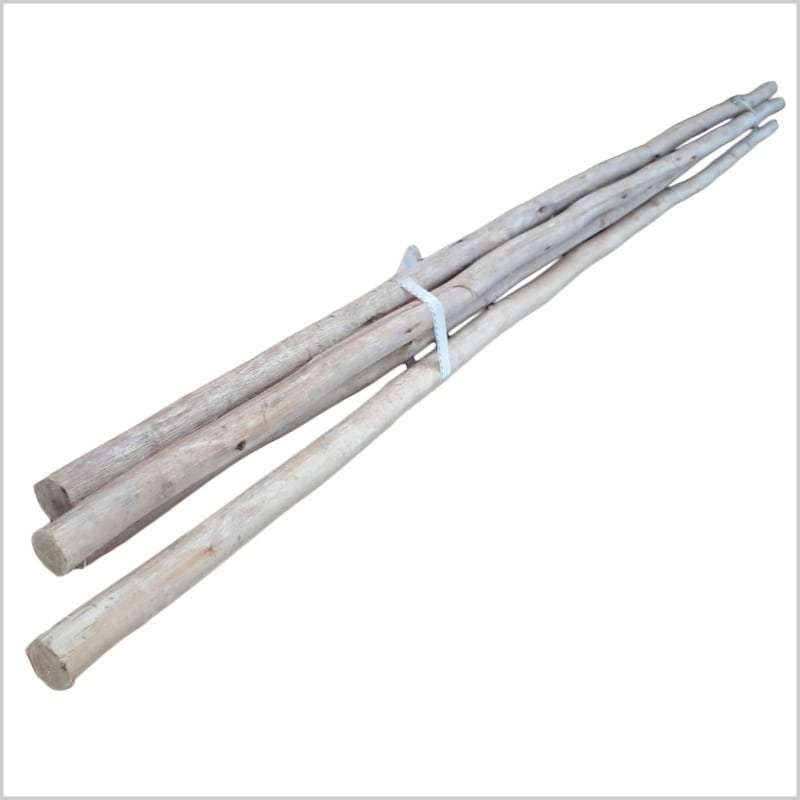Eucalyptus Lath image 2