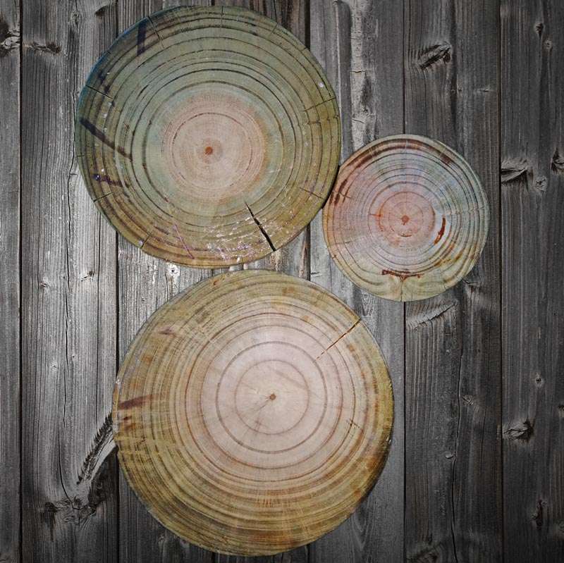 Pine Poles image 2