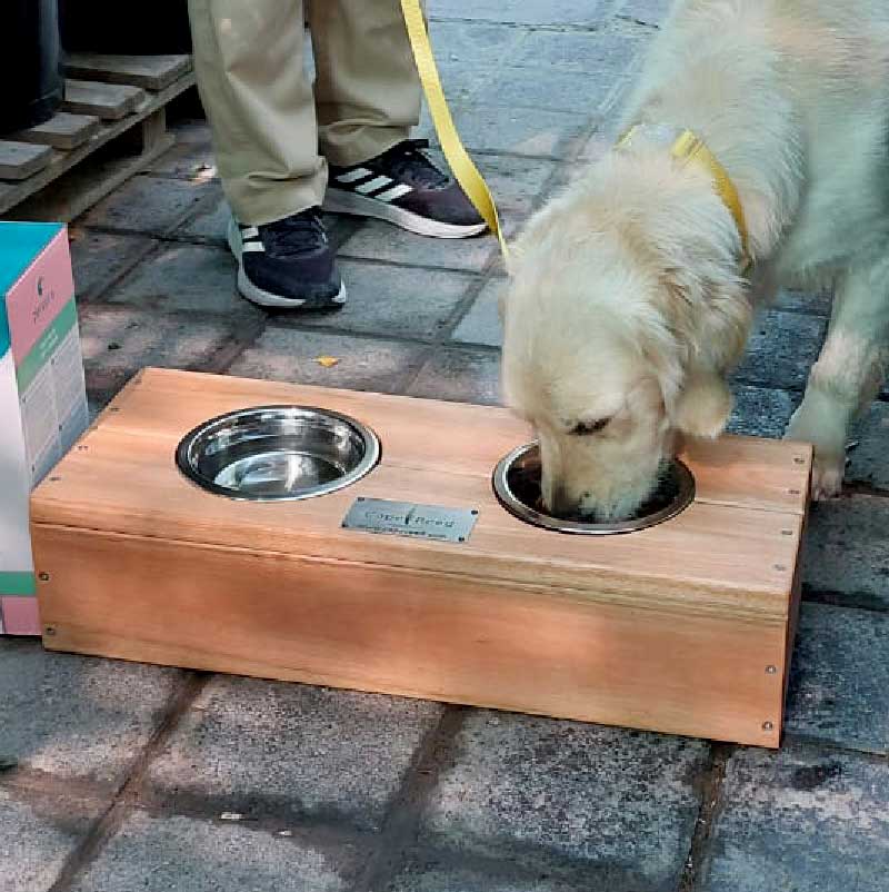 Pet Feeding Stations image 2